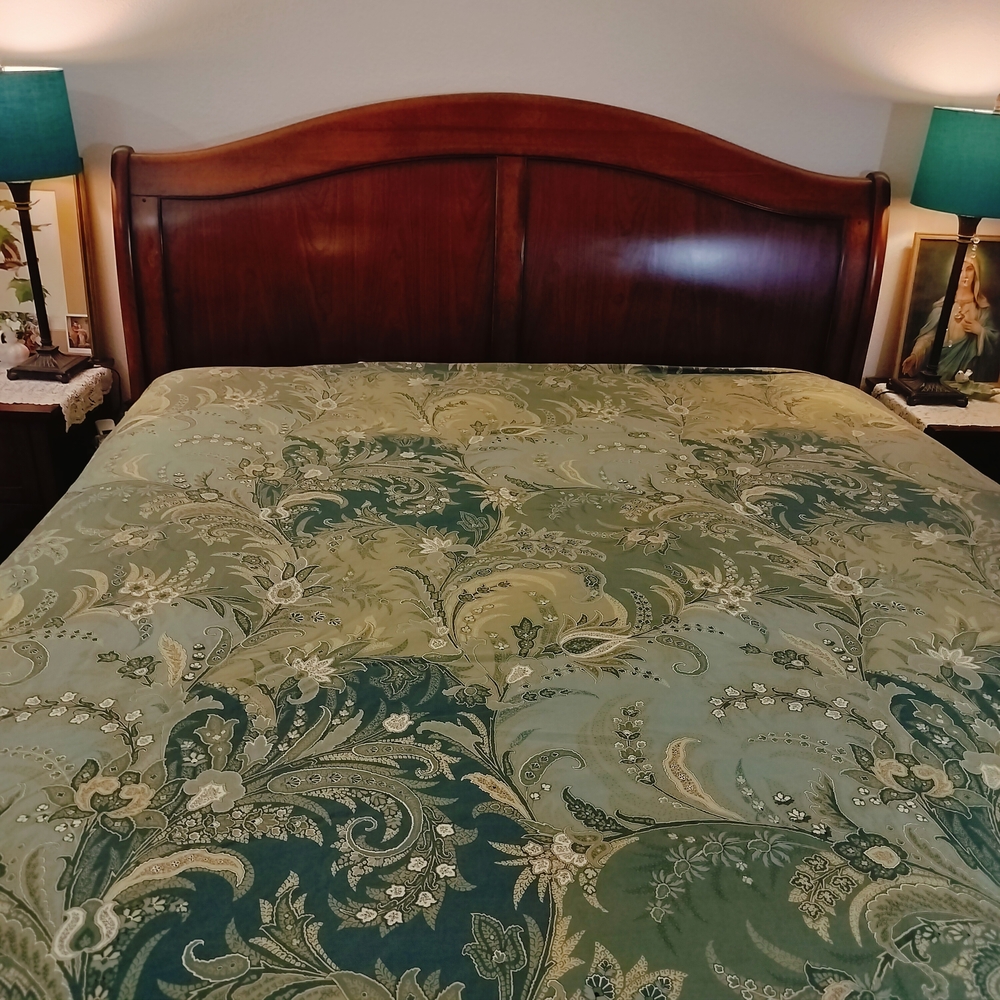 Pottery Barn Green Paisley King Duvet Cover